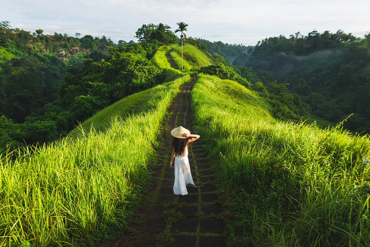 Travel without Flying