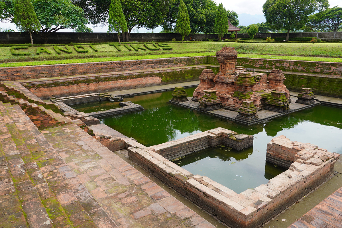 candi-tikus