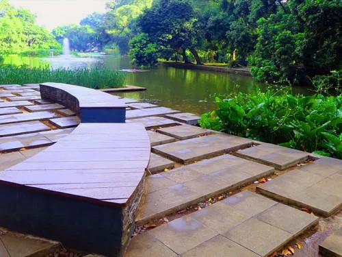 Savouring the Nature’s Grandeur of Bogor Botanical Garden
