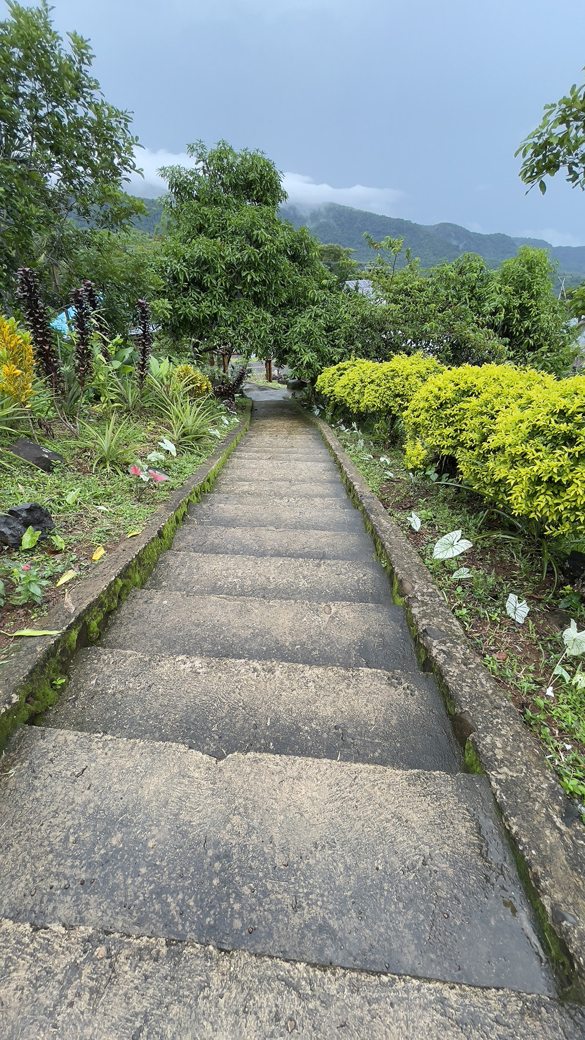 tangga