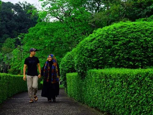 Savouring the Nature’s Grandeur of Bogor Botanical Garden