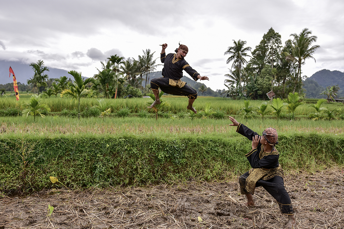 Indonesian sports