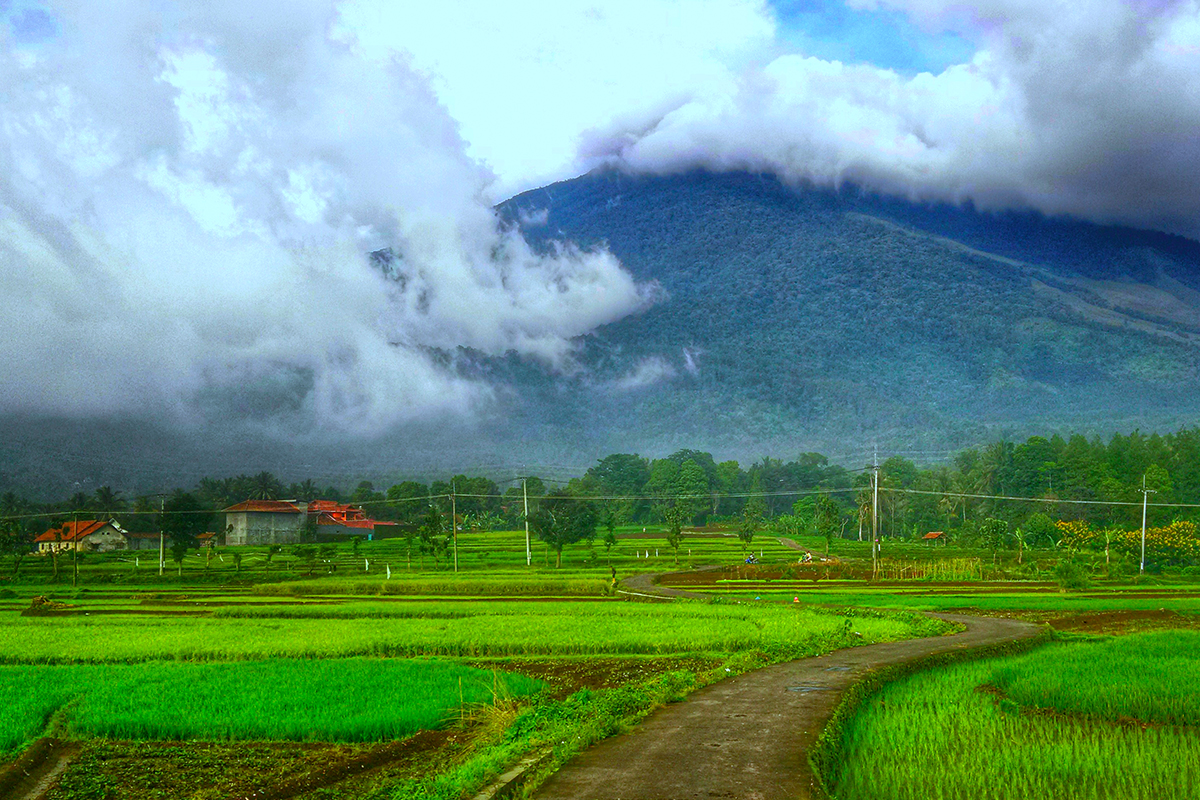 Suasana pagi hari di Desa Wisata Cibuntu, Kuningan