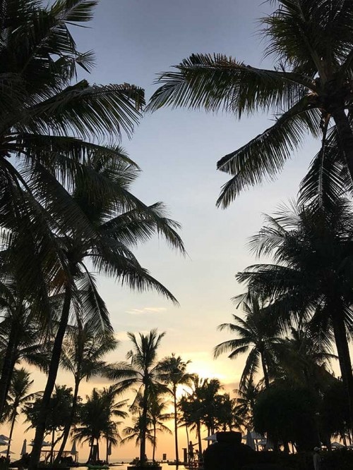 Ubud The Magical City of Nature and Luxury