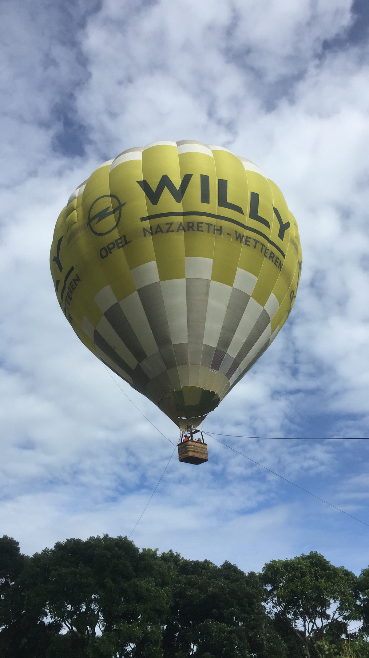 willy