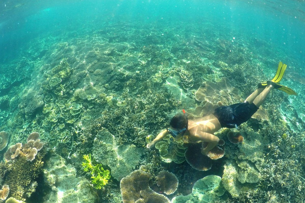 a man diving in Kepayang Island