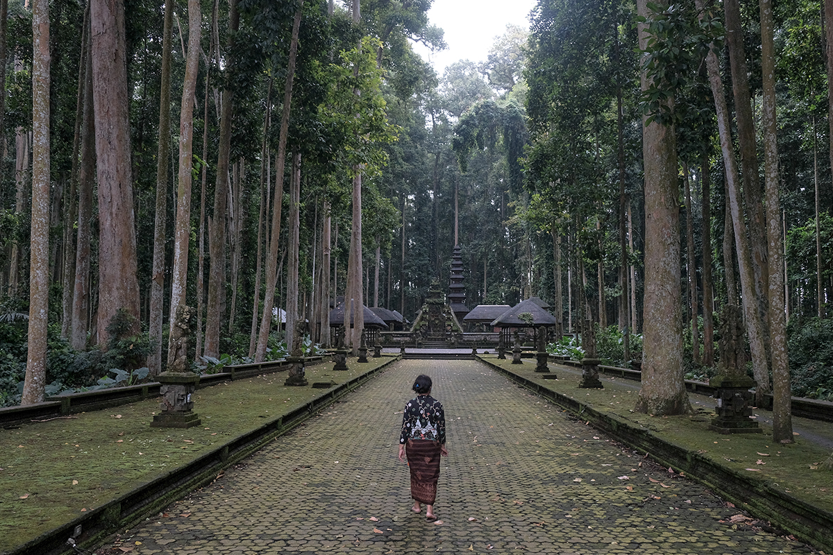 obejk wisata sangeh