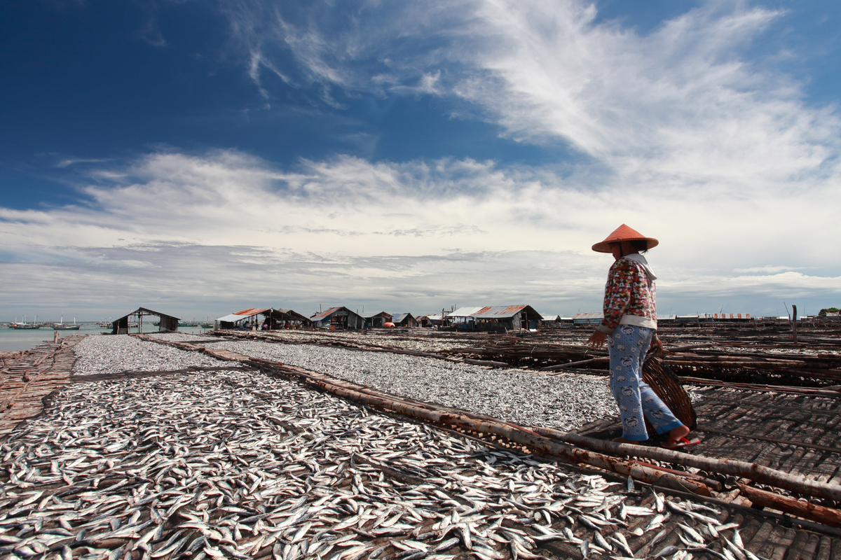 a woman walking with many surrounded fish at Tanjung Binga Village