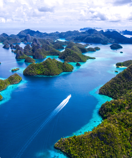 Maluku and Papua