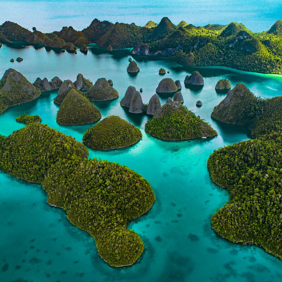 Maluku and Papua